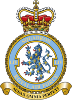 Squadron badge