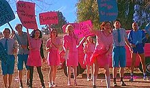 Three young women and three young men stand in a line, with an older woman and man. The women wear vivid pink skirts and tops and the men wear vivid blue shorts and shirts. They hold placards, also in bright blue and pink, including "Silly Faggots; Dicks are for Chicks" and "Procreate". One young woman, without a placard, throws a rock in front of her.