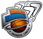 Winner Limeira Basquete logo