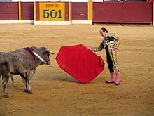 Frank Evans fights a bull, Spain