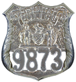 DSNY Police badge