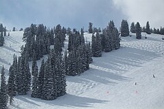 Solitude's lower terrain in 2006