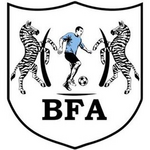 Shirt badge/Association crest