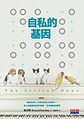 2017年3月14日 (二) 04:37版本的缩略图