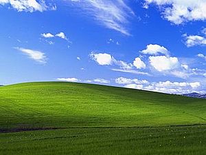 Windows XP中的Bliss (摄于1996年11月)