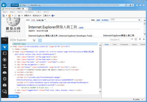 IE 11上的开发人员工具