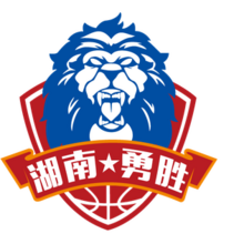 湖南长沙勇胜 logo