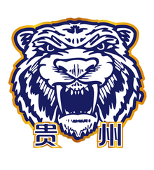 貴州森航 logo