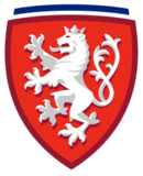 Shirt badge/Association crest